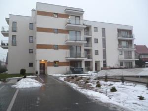 Szczegóły - Mieszkanie Wynajem, mławski Mława, Numer oferty: 783