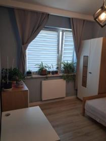 Szczegóły - Mieszkanie Wynajem, mławski Mława, Numer oferty: 919