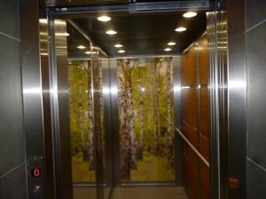 Szczegóły - Mieszkanie Wynajem, mławski Mława, Numer oferty: 969