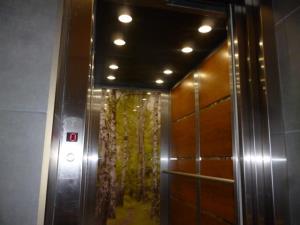 Szczegóły - Mieszkanie Wynajem, mławski Mława, Numer oferty: 969