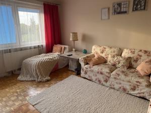 Szczegóły - Dom Sprzedaż, mławski Mława, Numer oferty: 992