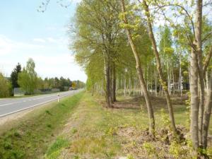 Szczegóły - Działka Sprzedaż, mławski Lipowiec Kościelny, Numer oferty: 986